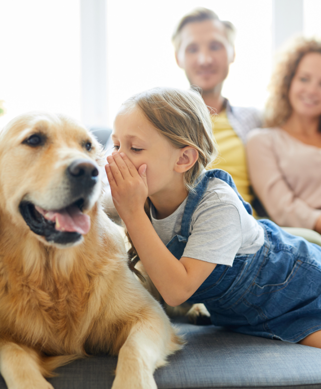 Benefits of Having Pets