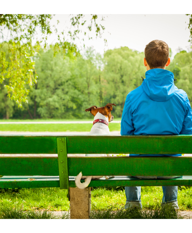 Unveiling the Instinctive Bond: Life as a Dog Owner